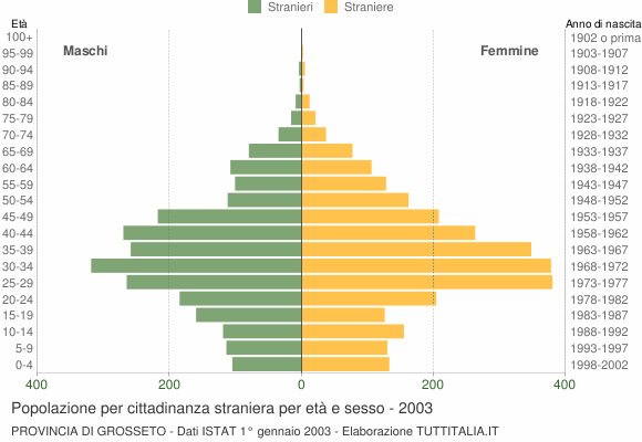Grafico cittadini stranieri - 2003