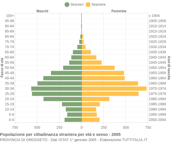 Grafico cittadini stranieri - 2005
