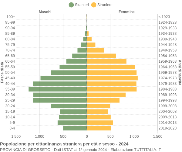 Grafico cittadini stranieri - 2024