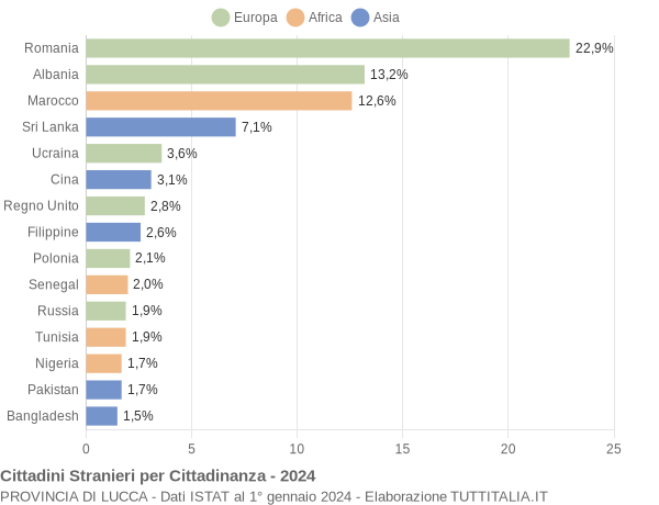 Grafico cittadinanza stranieri - 2024