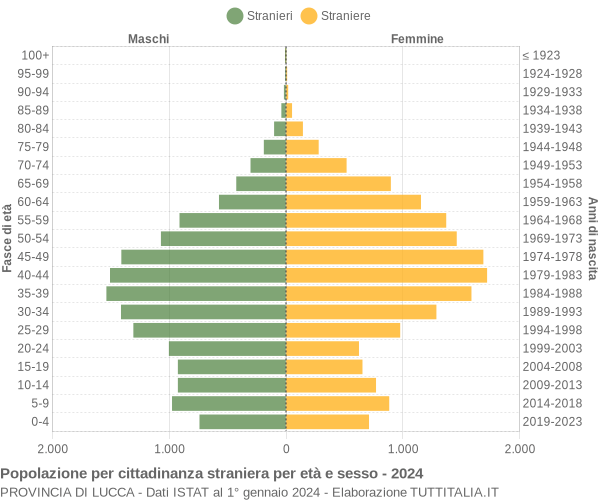 Grafico cittadini stranieri - 2024