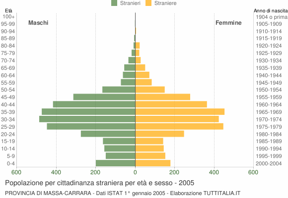 Grafico cittadini stranieri - 2005
