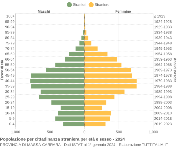 Grafico cittadini stranieri - 2024