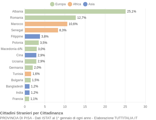 Grafico cittadinanza stranieri - 2008