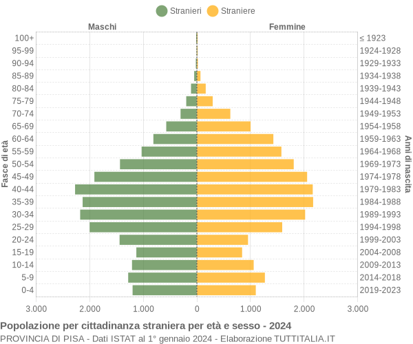 Grafico cittadini stranieri - 2024