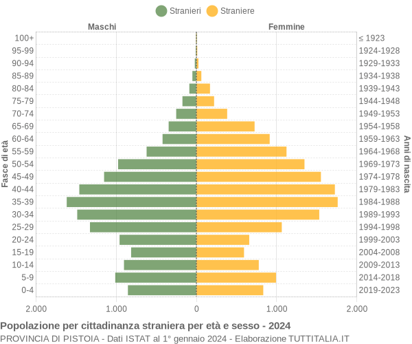 Grafico cittadini stranieri - 2024