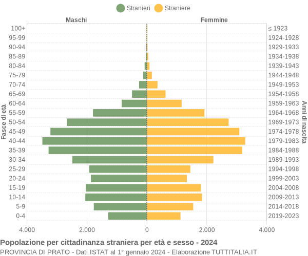 Grafico cittadini stranieri - 2024