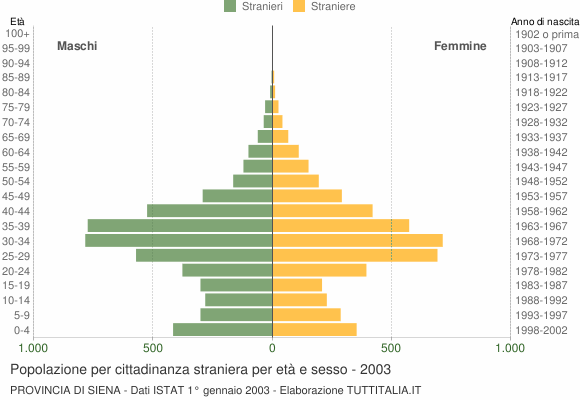 Grafico cittadini stranieri - 2003