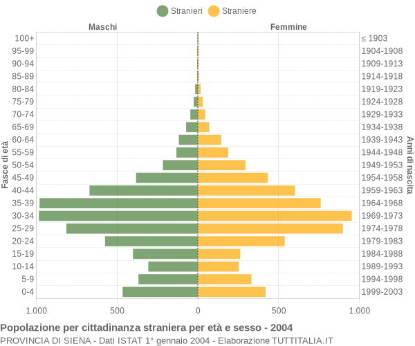 Grafico cittadini stranieri - 2004