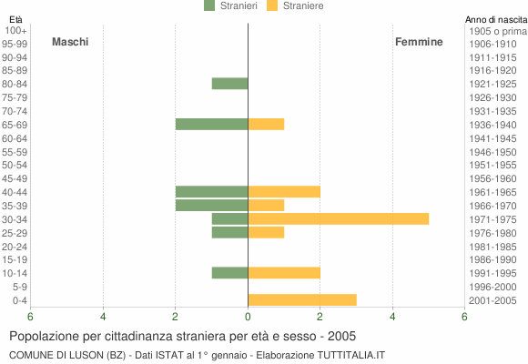 Grafico cittadini stranieri - Luson 2005