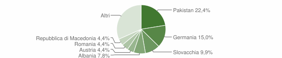 Grafico cittadinanza stranieri - Chiusa 2011