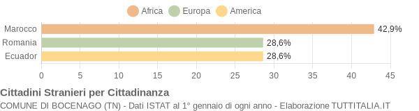 Grafico cittadinanza stranieri - Bocenago 2008