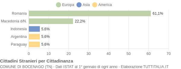 Grafico cittadinanza stranieri - Bocenago 2019