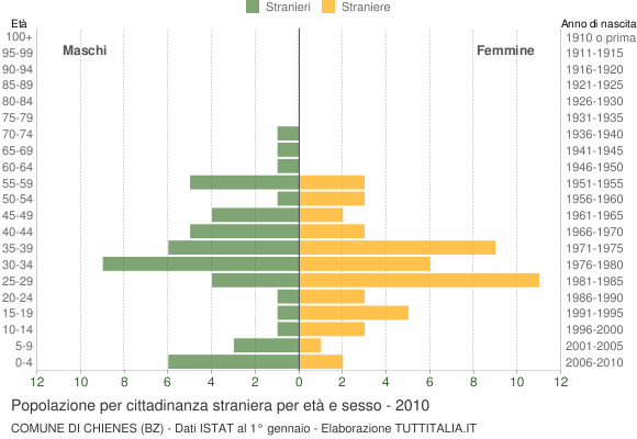 Grafico cittadini stranieri - Chienes 2010