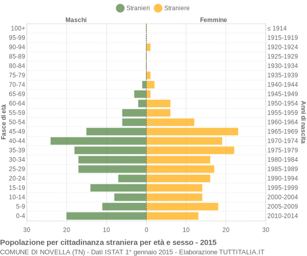 Grafico cittadini stranieri - Novella 2015