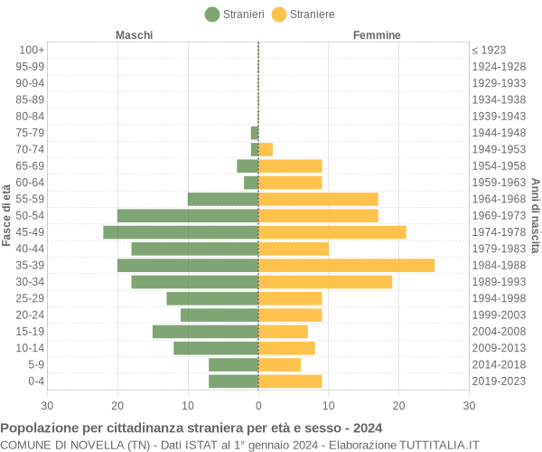 Grafico cittadini stranieri - Novella 2024