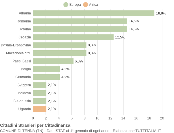 Grafico cittadinanza stranieri - Tenna 2009