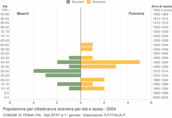 Grafico cittadini stranieri - Tenna 2004