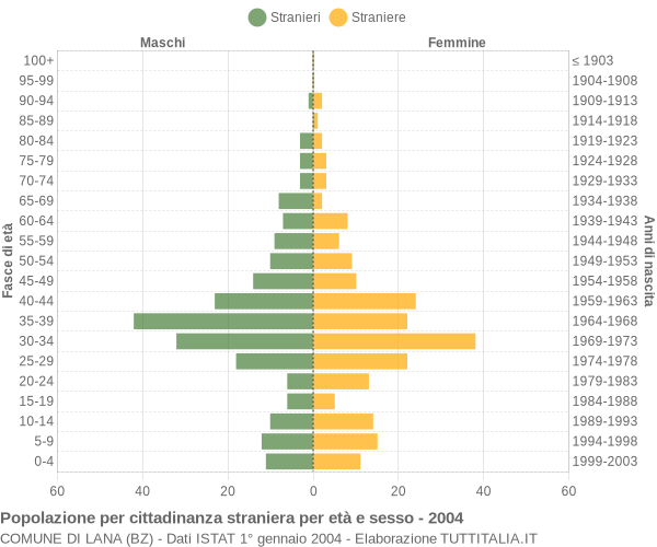 Grafico cittadini stranieri - Lana 2004