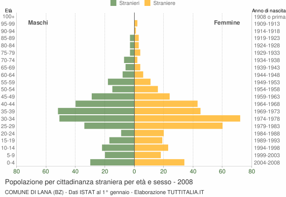Grafico cittadini stranieri - Lana 2008