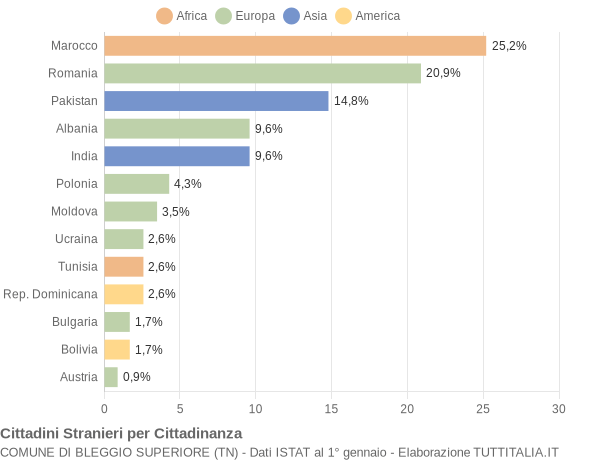 Grafico cittadinanza stranieri - Bleggio Superiore 2013