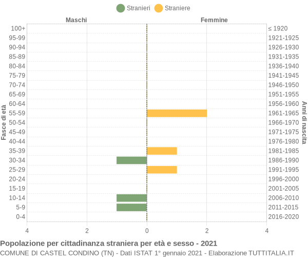 Grafico cittadini stranieri - Castel Condino 2021