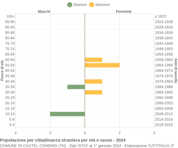 Grafico cittadini stranieri - Castel Condino 2024