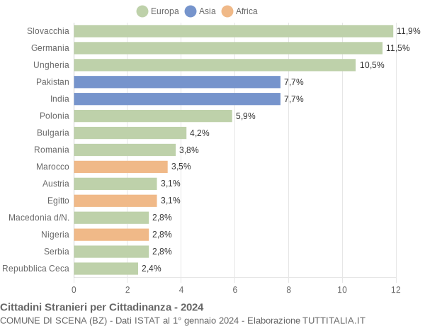 Grafico cittadinanza stranieri - Scena 2024