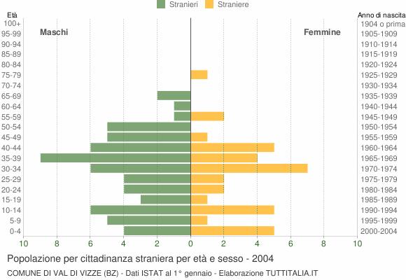 Grafico cittadini stranieri - Val di Vizze 2004