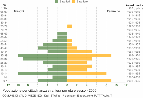 Grafico cittadini stranieri - Val di Vizze 2005