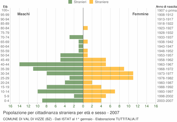 Grafico cittadini stranieri - Val di Vizze 2007