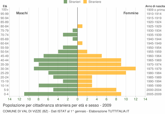 Grafico cittadini stranieri - Val di Vizze 2009