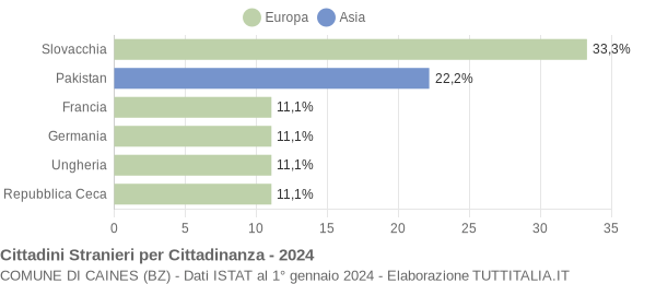 Grafico cittadinanza stranieri - Caines 2024