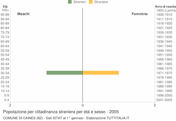 Grafico cittadini stranieri - Caines 2005