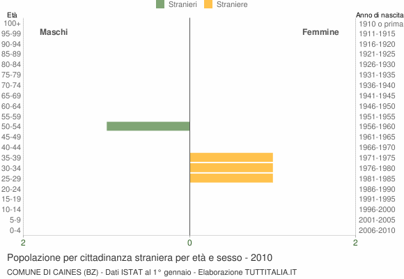 Grafico cittadini stranieri - Caines 2010