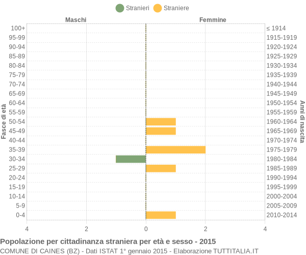 Grafico cittadini stranieri - Caines 2015