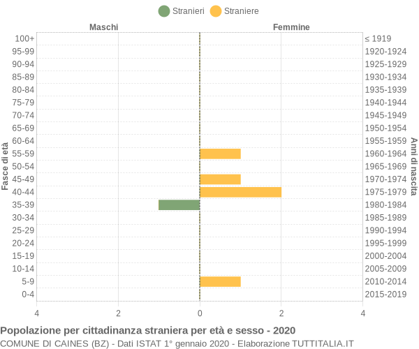 Grafico cittadini stranieri - Caines 2020