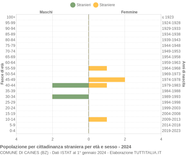 Grafico cittadini stranieri - Caines 2024