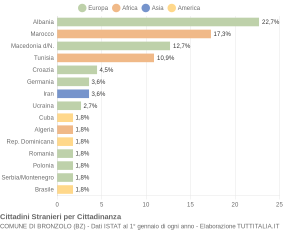 Grafico cittadinanza stranieri - Bronzolo 2004