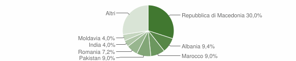 Grafico cittadinanza stranieri - Bronzolo 2013