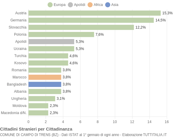 Grafico cittadinanza stranieri - Campo di Trens 2011