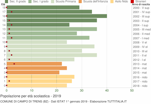 Grafico Popolazione in età scolastica - Campo di Trens 2019