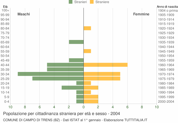 Grafico cittadini stranieri - Campo di Trens 2004