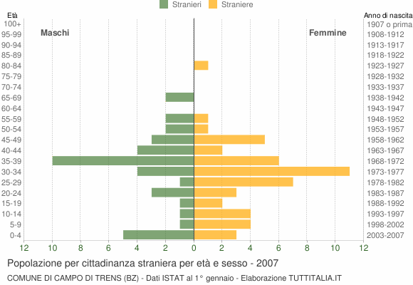 Grafico cittadini stranieri - Campo di Trens 2007