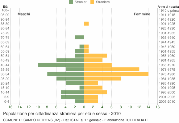 Grafico cittadini stranieri - Campo di Trens 2010