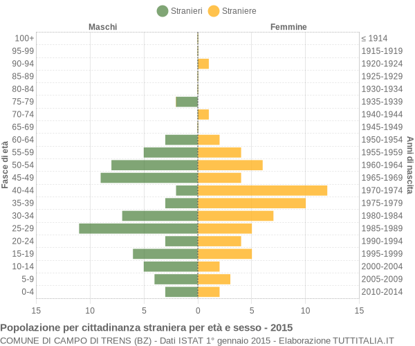 Grafico cittadini stranieri - Campo di Trens 2015