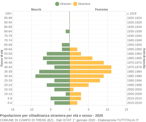 Grafico cittadini stranieri - Campo di Trens 2020