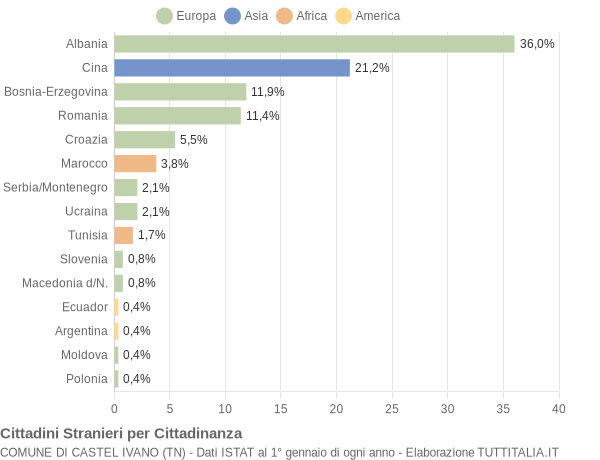 Grafico cittadinanza stranieri - Castel Ivano 2006