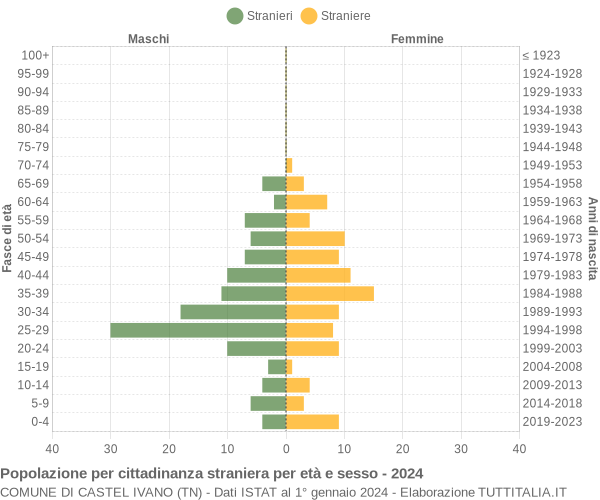 Grafico cittadini stranieri - Castel Ivano 2024