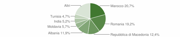 Grafico cittadinanza stranieri - Lomaso 2009